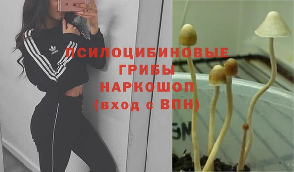 амф Аркадак