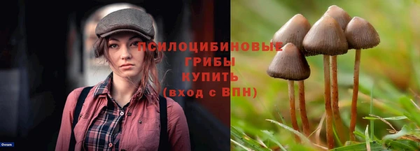 амф Аркадак
