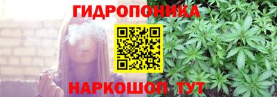 бошки Кинель
